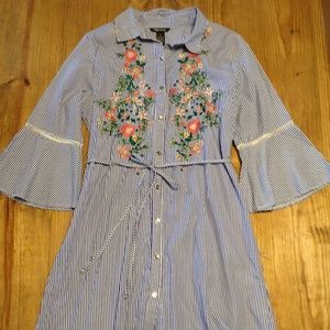 Blue and White Striped Embroidered Shirt Dress